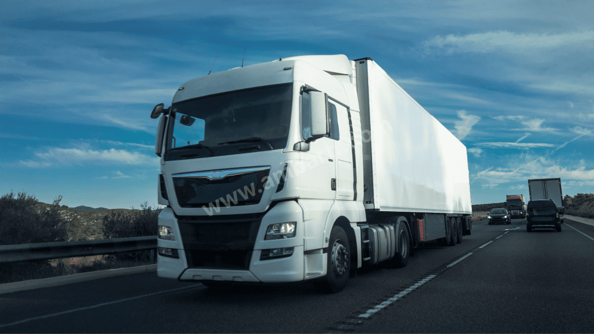 Tut Şehirler Arası Taşıma